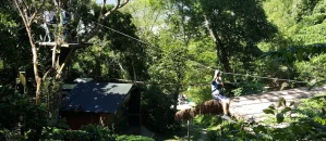 Wild Monkey Adventure Forest Treetop Experience