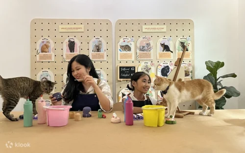 A cute rescue cat resting near a colorful canvas during an art workshop