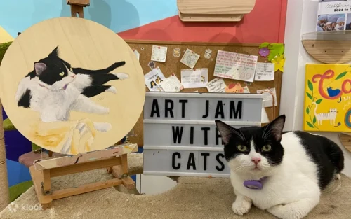 Close up of an artist mixing paints on a palette with a cat watching