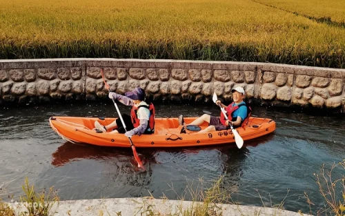 Paddling through golden rice paddies in Dongshan Yilan