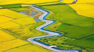 Golden River Rice Paddy Canoe Experience in Yilan