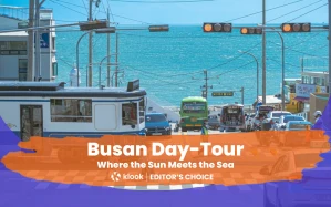 Ultimate Busan Coastal Highlights Day Tour