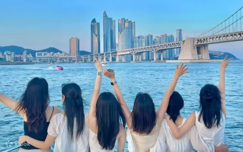 Pet-friendly yacht sailing through the beautiful waters of Busan