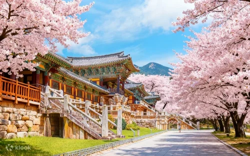 Beautiful traditional architecture at Bulguksa Temple in Gyeongju