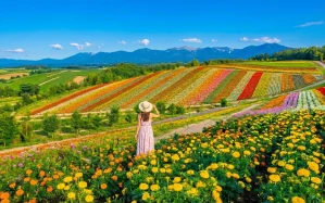 Hokkaido Day Tour: Asahiyama Zoo, Biei & Furano