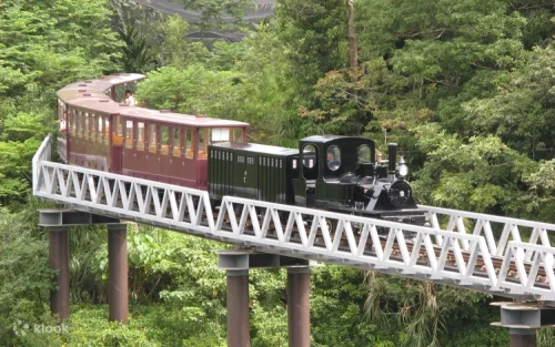 Miniature train riding through the lush tropical botanical gardens