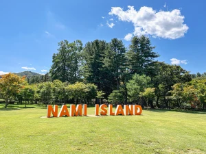 Seoul to Nami Island Direct Round-Trip Shuttle Bus