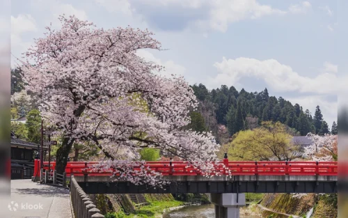 Scenic waterways and historic stone bridges in the peaceful town of Gujo Hachiman
