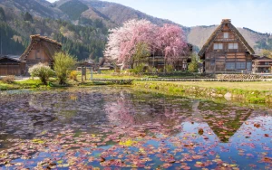 Shirakawa-go, Gujo Hachiman & Hida Takayama Full-Day Tour