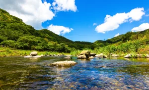 Shuangliu National Forest Recreation Area