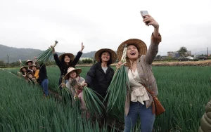 Xingbao Scallion Experience Farm & Animal Tour