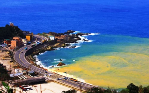 Comfortable guided car tour exploring the coastal roads of New Taipei City