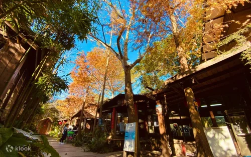 Stunning European-style Niujiao Village Garden with vibrant flowers.