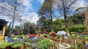 Zhou Ye Cottage Admission in Miaoli