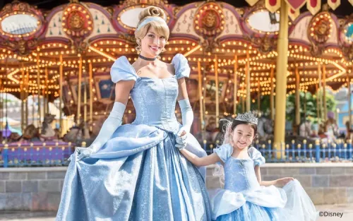 Fairy Godmother-in-Training styling a young princess's hair