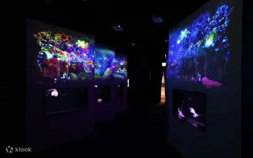 Illuminated jellyfish dancing inside the colorful Cylinder Mirror Maze