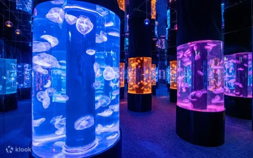 Educational marine conservation exhibits at the Jellyfish Institute