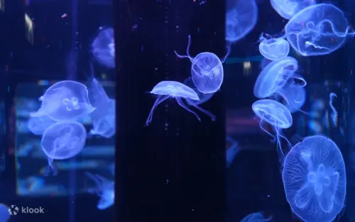Kids playing inside the ocean-themed family playhouse in Hong Kong