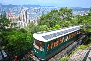 Deluxe Hong Kong Day Tour: Peak Tram, City Walk & Dim Sum