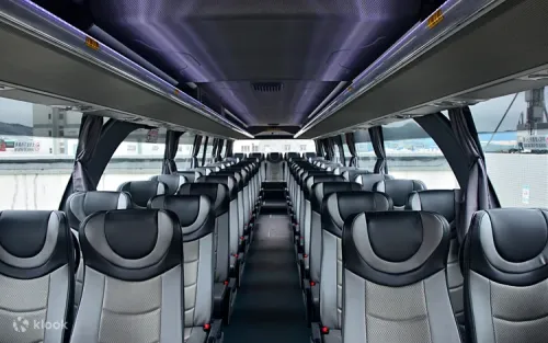 Spacious and air-conditioned interior of the cross-border coach