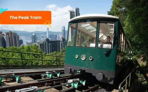 Sightseeing on a Hop-On Hop-Off bus tour through bustling city streets