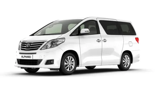 Professional chauffeur opening the car door for passengers
