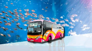 Direct Bus Transfer: Hong Kong to Zhuhai Chimelong