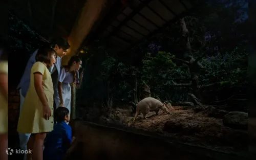Asian small-clawed otters at the Creatures of the Night show