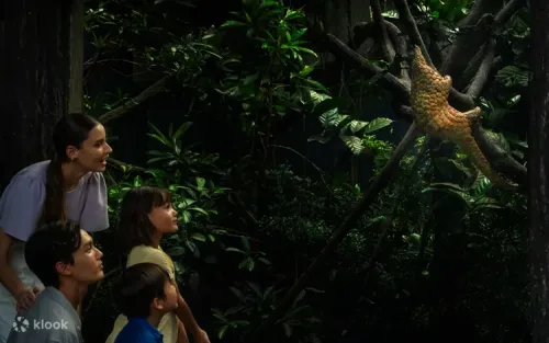 Visitors exploring the Leopard Trail at Mandai Wildlife Reserve