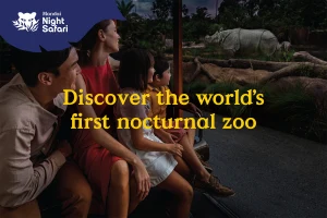 Singapore Night Safari at Mandai Wildlife Reserve
