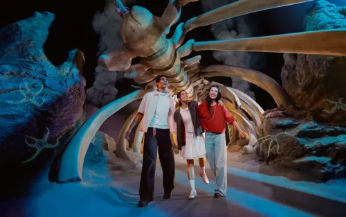 Interactive family-friendly exhibits teaching children about marine conservation.