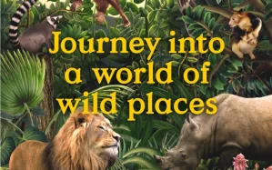 Singapore Zoo: Mandai Wildlife Reserve