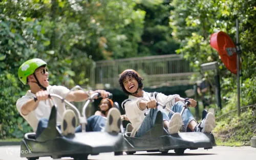 Riders navigating the twists and turns of the Jungle Trail at Skyline Luge Sentosa.