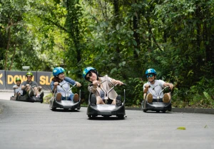 Skyline Luge Singapore & Skyride Experience