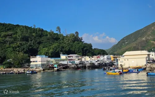 Lush green mangroves growing along the peaceful riverbanks of Lantau Island