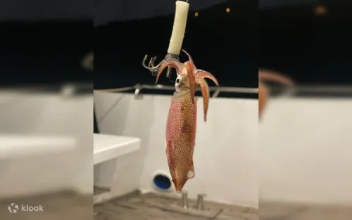 Freshly caught squid being cooked onboard by the friendly crew