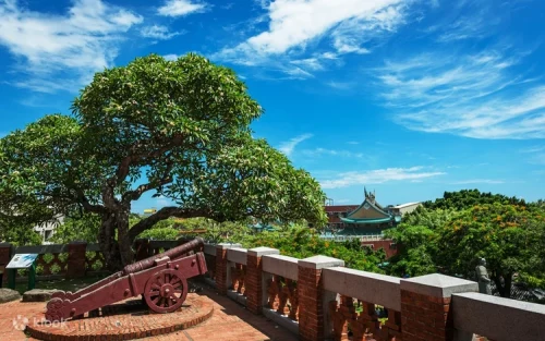 Ancient banyan tree roots growing over weathered red brick walls