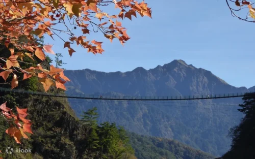 Spectacular suspension bridge stretching across the lush green Aowanda valley