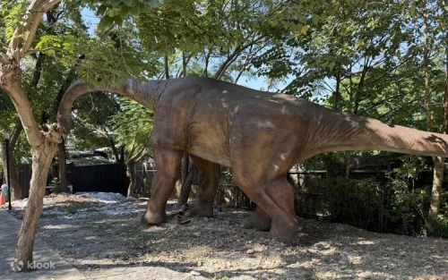 The scenic Discovery Train riding through the prehistoric amusement park