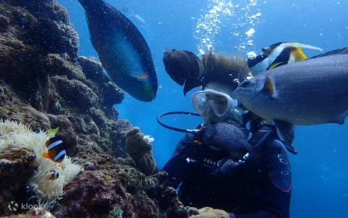 Family enjoying a safe and guided snorkeling experience