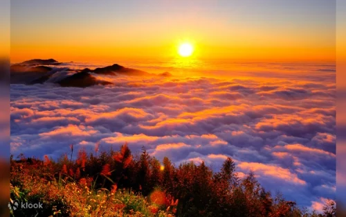 Beautiful sunrise view at Alishan National Forest Recreation Area