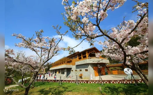 Zhaoping Park blooming with colorful alpine plants during spring