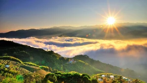 Shared Shuttle Transfer between Chiayi and Alishan