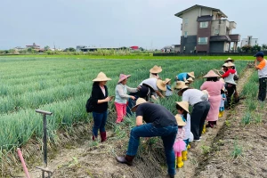 Cong Baobao Farm: Sanxing Scallion Picking & DIY Experience