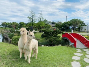 Dancewoods Japanese Garden Theme Park Yilan