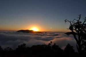 Dasyueshan National Forest Recreation Area