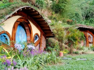 Hobbit Valley & Tea Tree Forest Admission