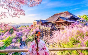 Kyoto and Nara Day Trip: Kiyomizu-dera, Fushimi Inari & Nara Park