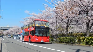 Kyoto Skyhop Bus: Hop-On Hop-Off Sightseeing Tour