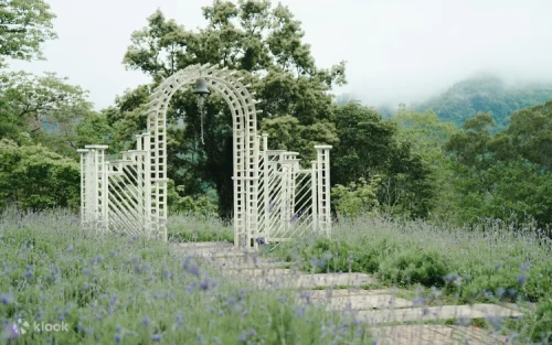 Pet-friendly outdoor spaces perfect for family fun and relaxation in nature